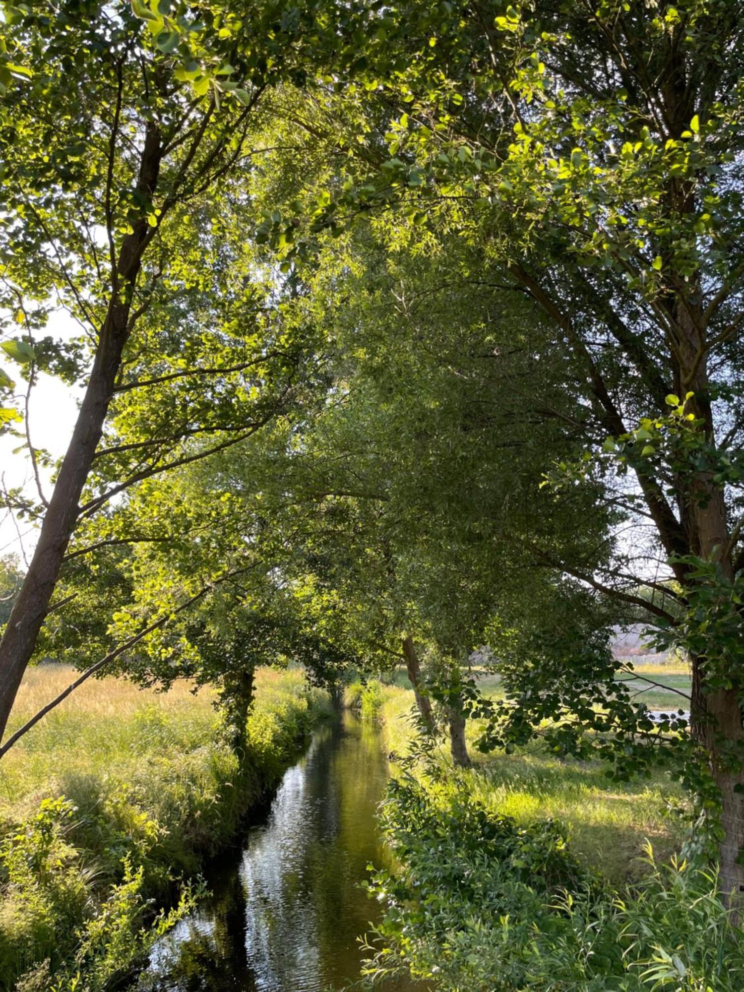 Guesthouse With 3 Apartments, Just Outside Berlin, Near To Tesla Burig Екстериор снимка